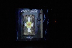 147_8O5A1718