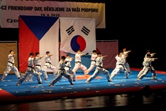206_8O5A4779