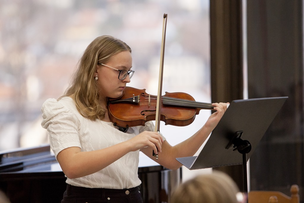 Koncert smyčcových nástrojů