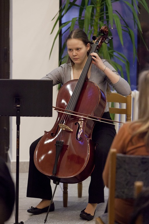 Koncert smyčcových nástrojů