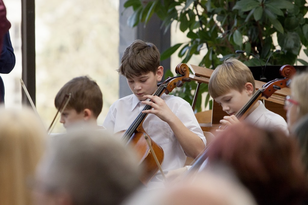 Koncert smyčcových nástrojů