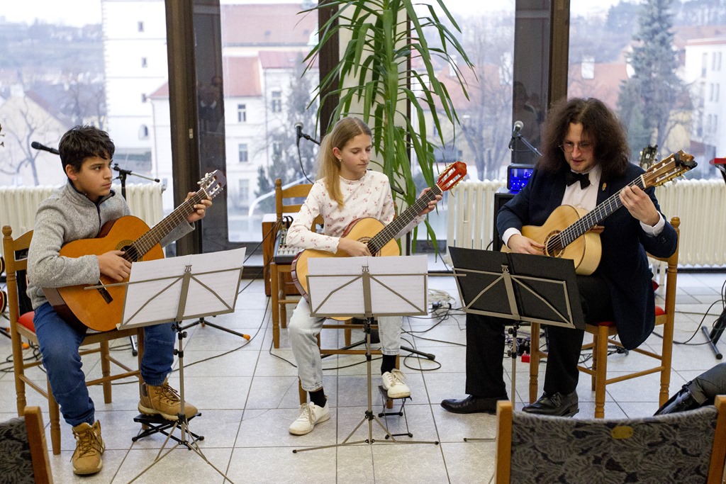 Koncert strunných nástrojů