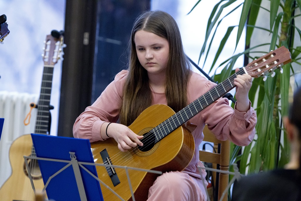 Koncert strunných nástrojů