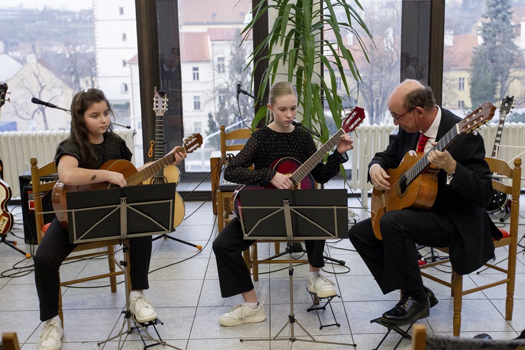 Koncert strunných nástrojů