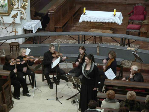 Malý smyčcový orchestr