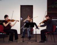 Smyčcové trio p.uč.Coufala